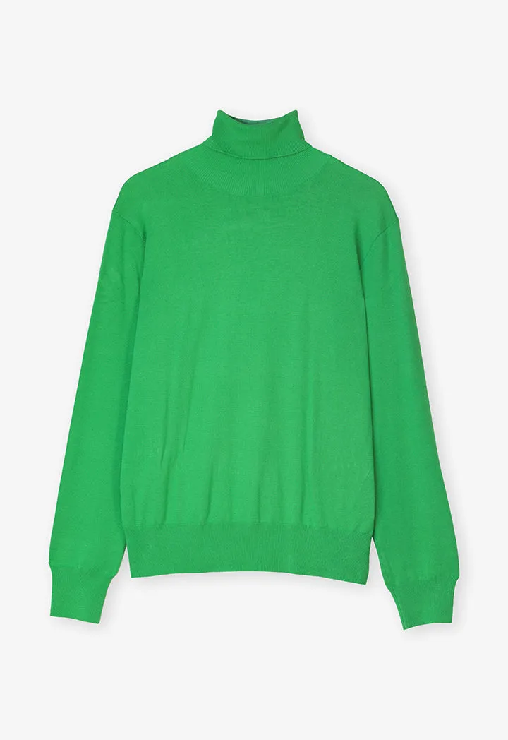 Choice Single Tone High Neck Knitted Top Green